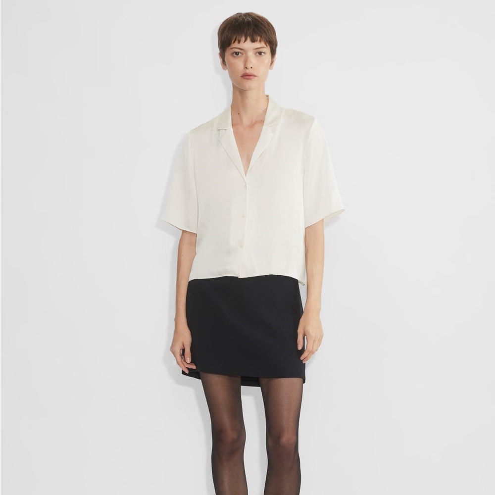 Aritzia Beso Silk Shirt (small)